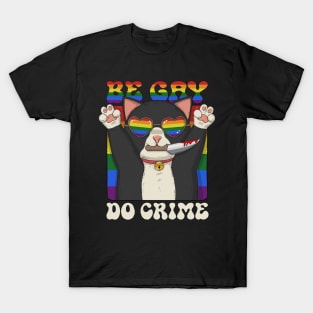 Be Gay Do Crime T-Shirt